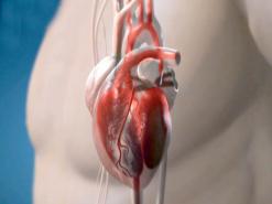 مرضى القلب بسيدي بلعباس يطالبون بجهاز تشخيص المرض