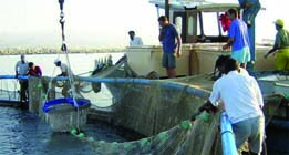 Journée nationale du pêcheur à Dellys                                    Boumerdes, direction de la pêche et des ressources halieutiques