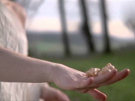 Jeux et sports traditionnels