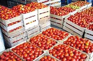 La DSA prévoit une récolte de 3 millions de quintaux à Guelma