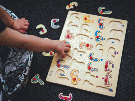 Les langues maternelles DZ en 4 points