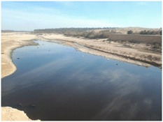 سكان شرق بسكرة طالبوا بتدخل السلطات