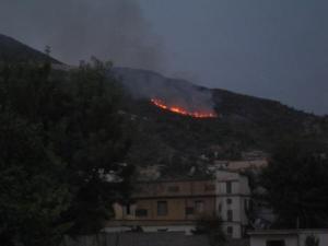 Un feu de forêt menace Lemroudj et ses environs