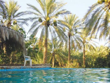 L'atout bien-être à la porte du Sud                                    Sur les traces de la reine des Zibans