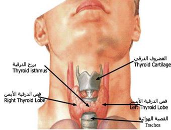 مختصون يدقون من قسنطينة ناقوس الخطر حول تفاقم السرطان                                    الحملات التحسيسية لم تجد نفعا