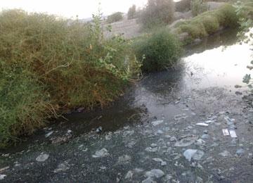 الصحة العمومية بسطيف في خطر بسبب المياه الملوثة واهتراء قنوات الصرف                                    مختصون يدعون إلى تكثيف المراقبة الصارمة وإقرار برنامج استعجالي