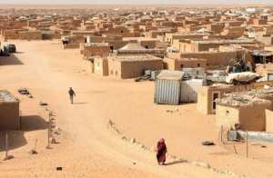 الكونغرس يتفقد مخيمات اللاجئين الصحراويين بتندوف