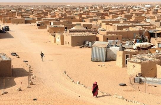 الكونغرس يتفقد مخيمات اللاجئين الصحراويين بتندوف