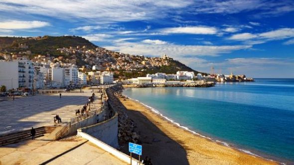 افتتاح معرض 