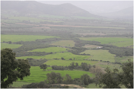 والي جيجل أمر باسترجاع المساحات غير المستغلة