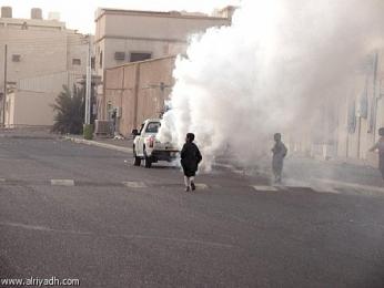 أسراب الحشرات الضارة تجتاح أحياء وبلديات باتنة                                    بسبب تدهور المحيط واهتراء شبكات الصرف الصحي