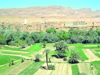 Un programme complémentaire pour le développement de l'agriculture dans le Sud                                    Décidé il y a trois mois