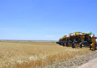 Près de deux millions de quintaux de céréales prévus