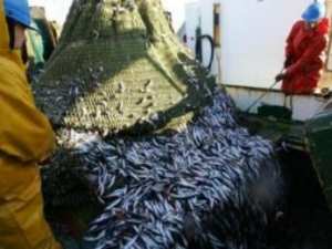 تسجيل 46 مخالفة صيد خلال سنة 2016 بالطارف