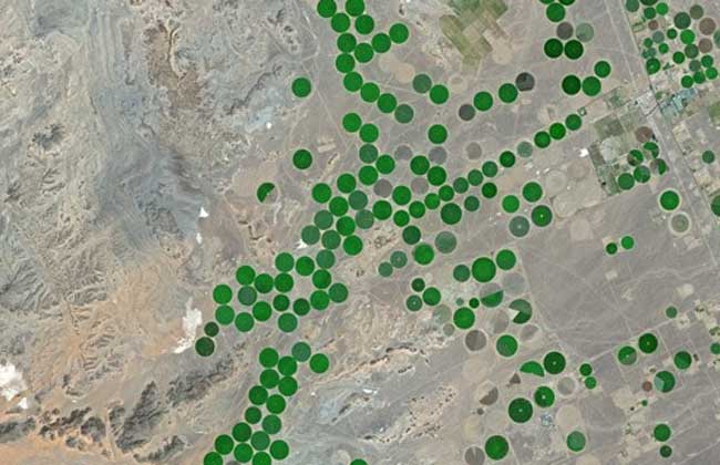 Pourquoi l'option des mégaprojets agricoles dans le sud de l'Algérie est néfaste (Opinion)