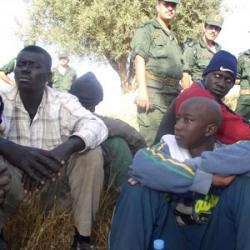 توقيف 50 أشخاص من دولة النيجر بالمسيلة