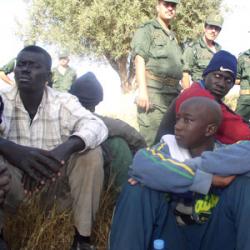 توقيف 50 أشخاص من دولة النيجر بالمسيلة