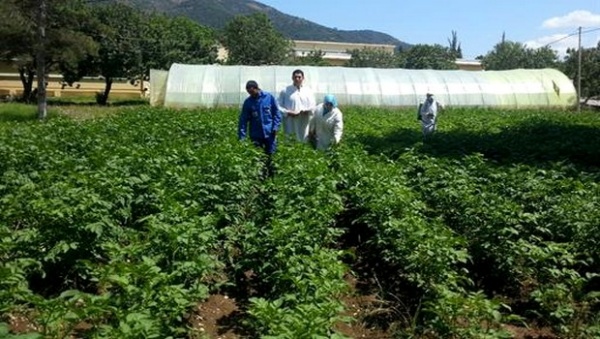 Formation Professionnelle : Introduire des spécialités adaptées aux spécificités des régions