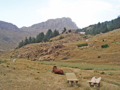 Léthargie dans le secteur du tourisme                                    Wilaya de Bouira