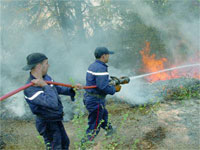 Tizi Ouzou                                    Premiers incendies, premiers dégâts