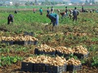 Hausse de la production agricole : le secteur mobilisé