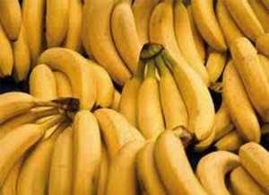 حجز أزيد من 8 طن من الموز المهرّب بتبسة