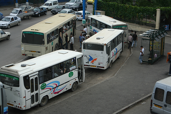 ناقلون خواص 