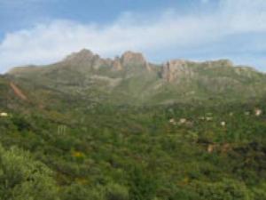 Ouzellaguen : 2e édition du festival de la montagne et du tourisme                                    Bejaia : les autres articles