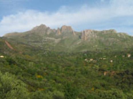 Ouzellaguen : 2e édition du festival de la montagne et du tourisme                                    Bejaia : les autres articles