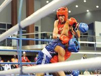 Boxe : en prévision de leur préparation aux jeux olympiques de Londres 2012                                    Les boxeurs algériens raflent 4 médailles au Venezuela