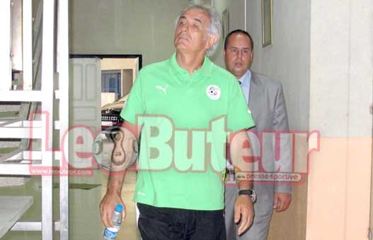 Halilhodzic : «Je suis très à l'aise avec l'équipe d'Algérie»