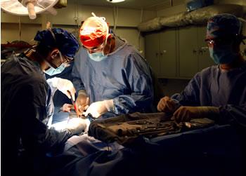 Bientôt la greffe de la moelle épinière