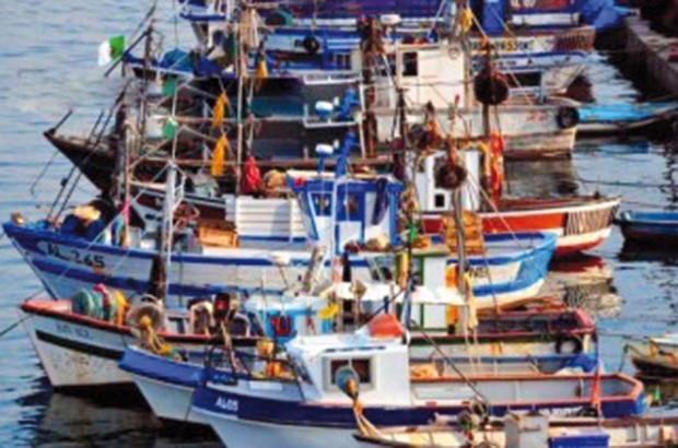 Quatre pêcheurs à la ligne secourus par les pompiers