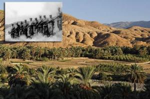 مجاهدون حاولوا إعلان الثورة المسلحة سنة 1943 بجبال الطاسيلي