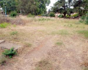 معتقل تيفيشون ... رائحة الموت وذكرى البطولة