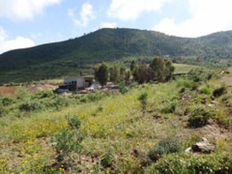 Douar Aït Amar Ouali (Béjaïa) : Tazeboudjt ou les terres de la discorde                                    Bejaia : les autres articles