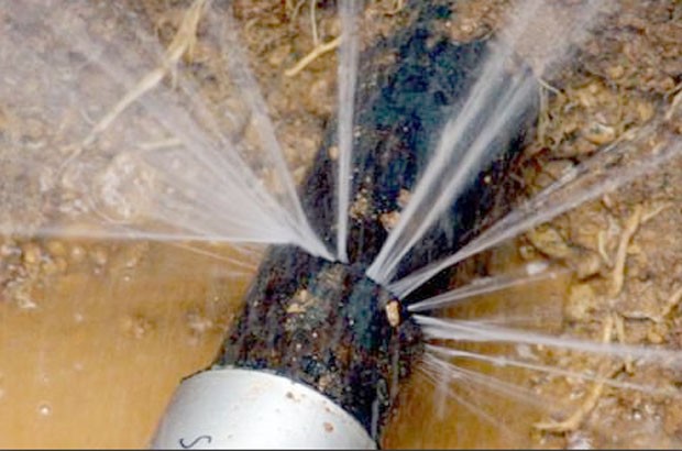 La Seaal aux abonnés absents...(vidéo)