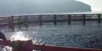 خبراء من كوريا في زيارة لمزرعة لتربية المائيات بتلمسان