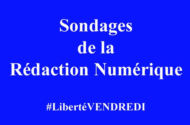 Sondages de la Rédaction Numérique