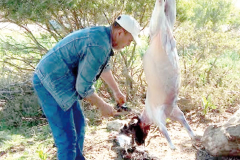 إقبال كبير على لحم وحليب الماعز بالطارف