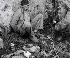 نصف قرن من الحرية في عيون الصحافة الدولية