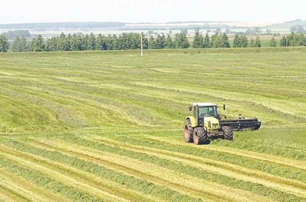 L'expérience de Constantine en débat
