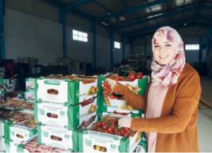 La tomate de Mziraâ veut séduire l'Europe