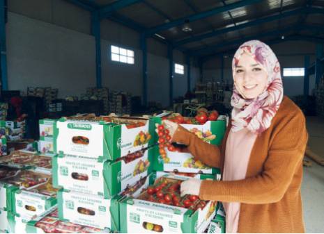 La tomate de Mziraâ veut séduire l'Europe