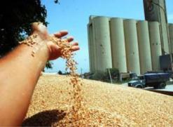 ديوان الحبوب يوفد لجنة تفتيش إلى مخازن تيارت للتحقيق في حالات غش                                    بعد اكتشاف تمرير أكثر من 4 آلاف قنطار من المنتوج المستورد