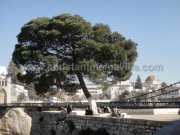 Constantine - Une page web pour revaloriser l'image de la ville