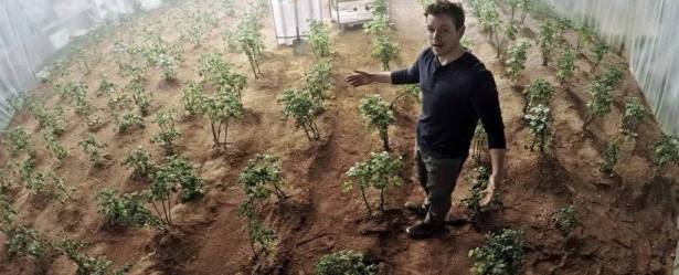 زرع البطاطا على المريخ... قد يصبح ممكنا!