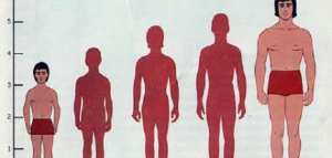 ما أسباب قصر القامة