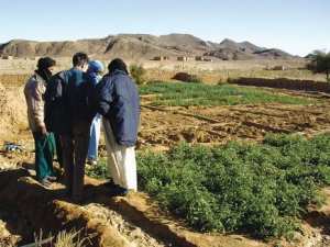 La cherté des aliments et la sécheresse fragilisent les éleveurs