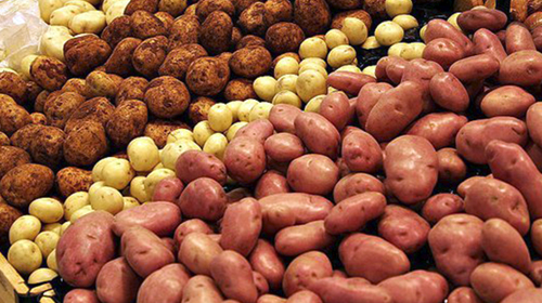 Les chambres froides font des ravages